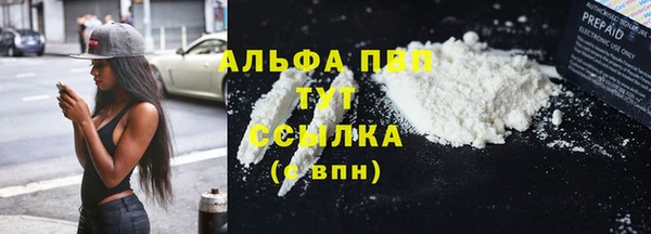 винт Верея