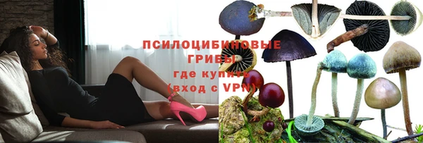 винт Верея