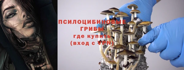 винт Верея