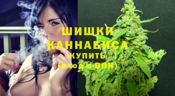PSILOCYBIN Верхний Тагил