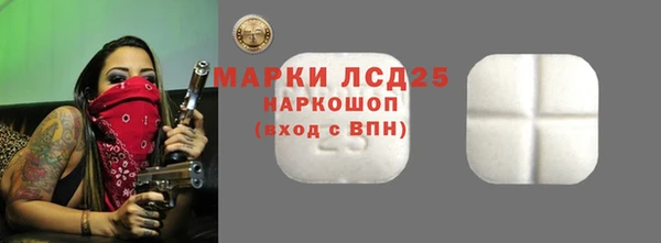 винт Верея