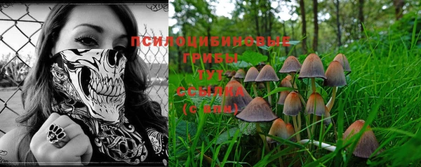 винт Верея