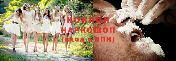 винт Верея