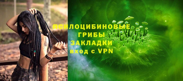 винт Верея