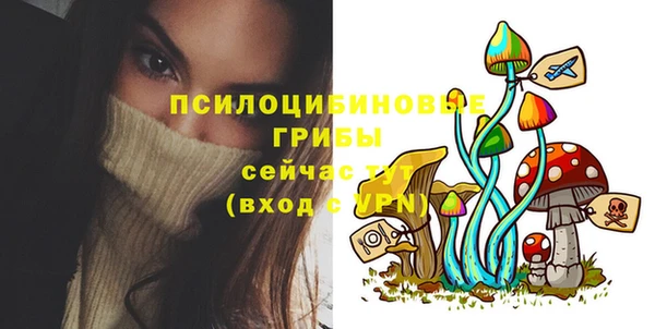 шишки Верхнеуральск