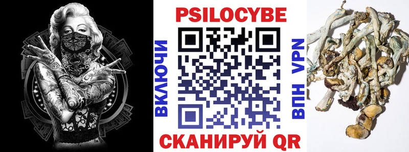 Галлюциногенные грибы MAGIC MUSHROOMS  ссылка на мегу как зайти  Люберцы 